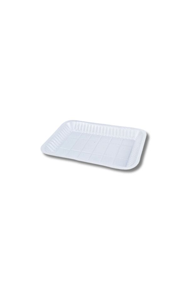 Rectangular Plastic Plate No. 2 - 1