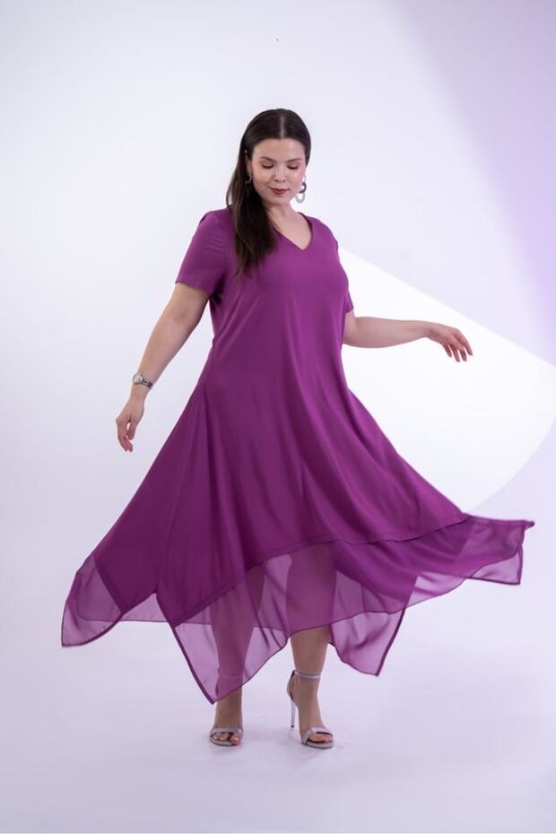 Women's Plus Size Skirt Hem Chiffon Dress