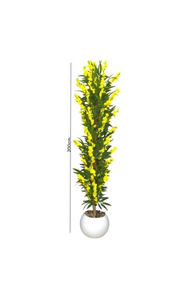 شجرة زينة 200
