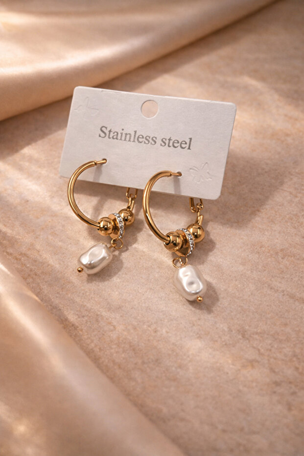 Steel Earrings 461 Silver Special Gift