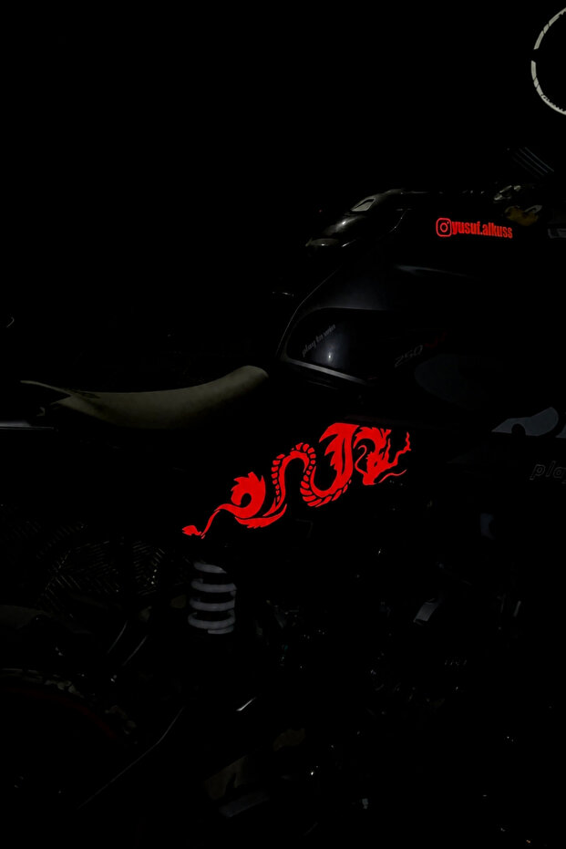 مجموعة ملصقات Ejder ذات العاكسات المصبوبة بالكامل (يمين ويسار) لـ CFMOTO 250SR