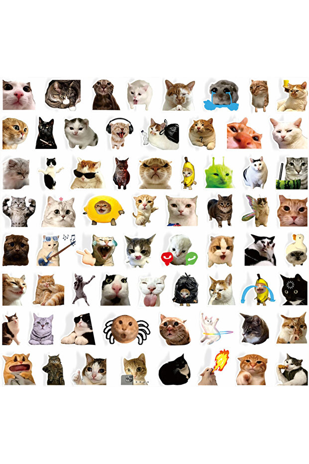 100PCS 100Pcs Funny Cat Meme Stickers Cute Kitten Expression Decals Waterproof For Notebook Journal