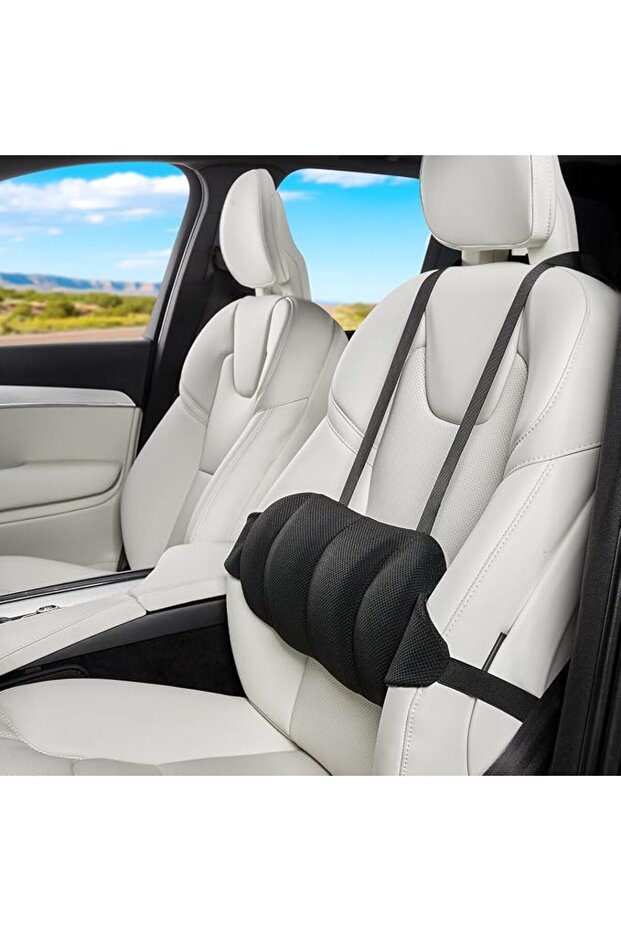 Car Lumbar Support Pillow, Memory Foam Back Cushion with Adjustable Straps, Black