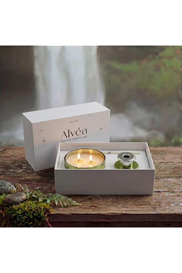 Danube Home Alvea Candle Diffuser Gift Set Pine Eucalyptus Luxury Home (Jar Candle- 220G, Reed Diffuser- 100Ml)