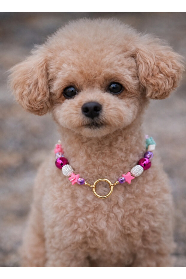 Dog Necklace Pet Necklace Accessory for Small and Medium Breeds