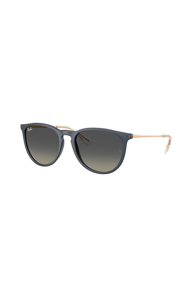 Rb4171 681311 54 Women's Sunglasses