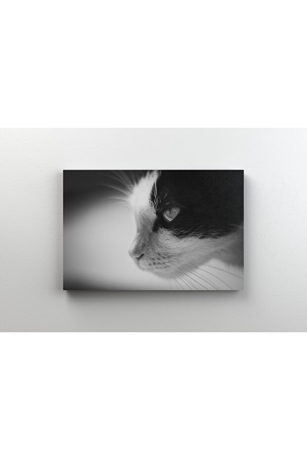 Tablou Canvas - B&W Cat Portrait - 1