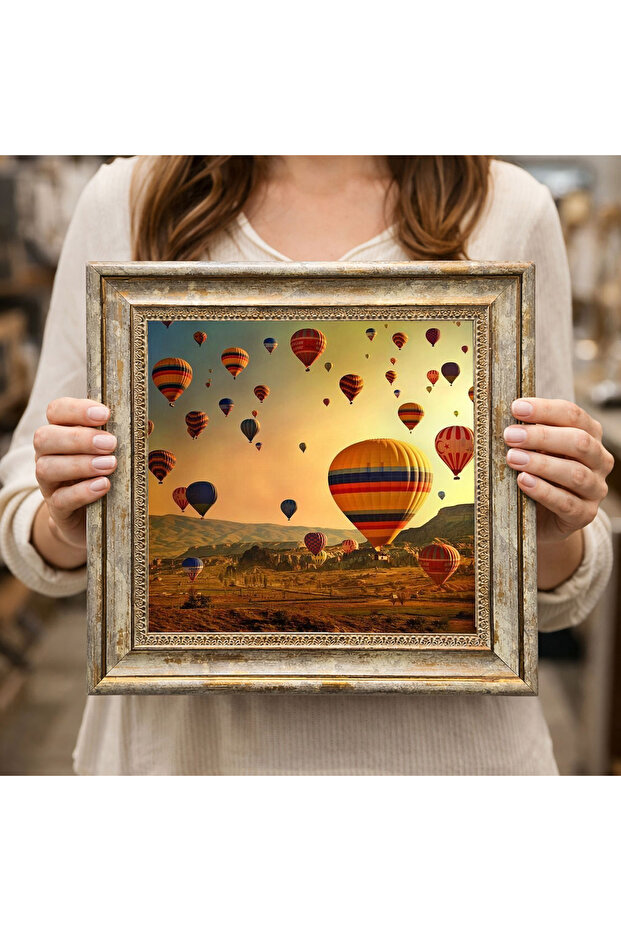 Antique Framed Decorative Painting Dk0311