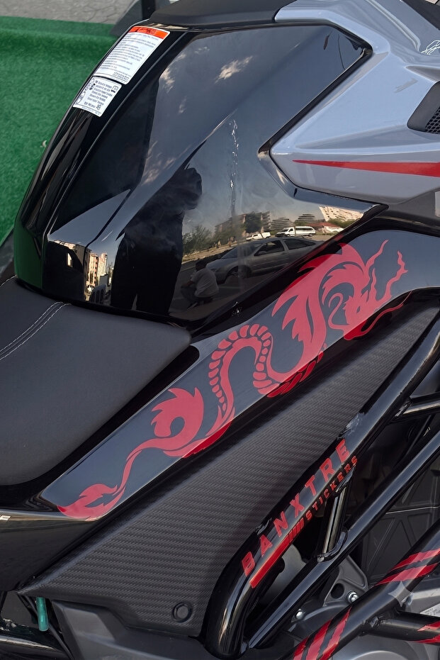 Cfmoto Nk250 Compatible Dragon Design Middle Fairing Sticker Set Right and Left