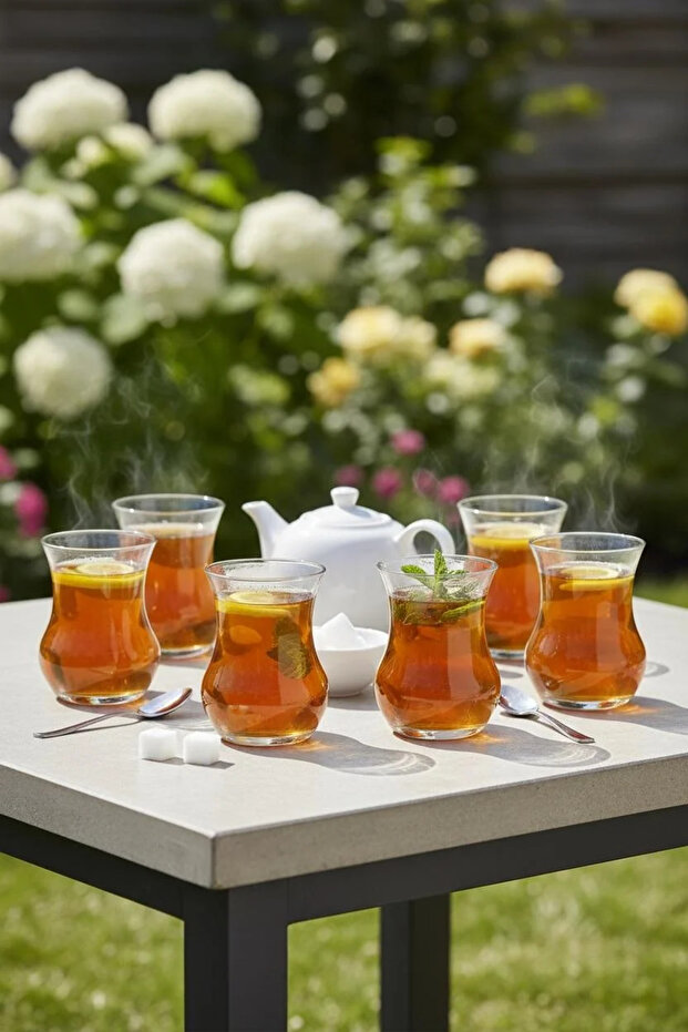 Eda 6-Piece Glass Tea Cups – Stylish and Modern Tea Cups 170 ml
