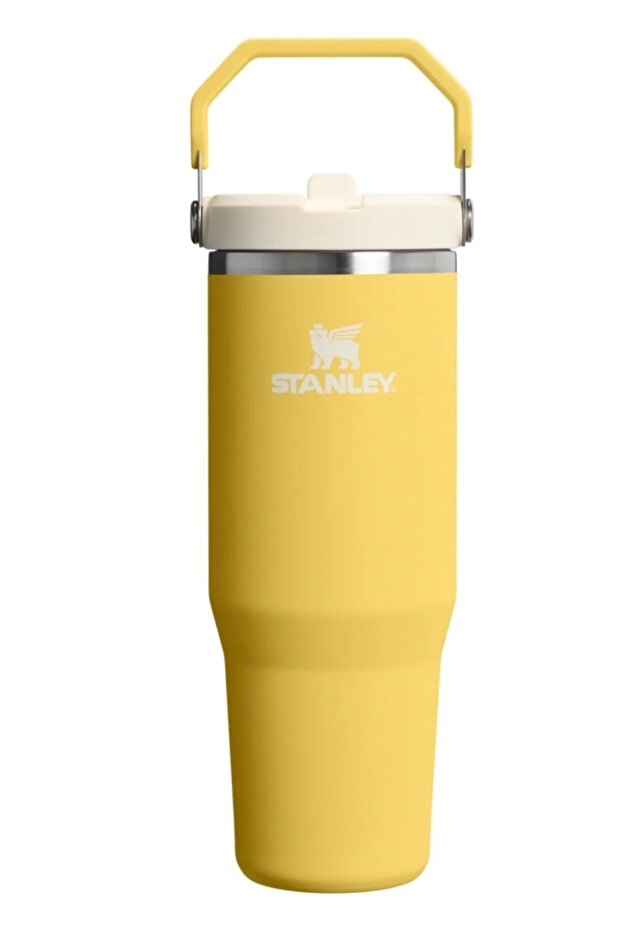 The iceflow flip straw 2.0 tumbler 0.89l colorful