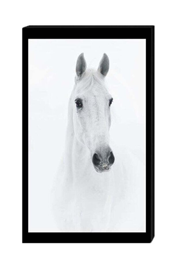 Horse Wall Decor Painting With Inner Frame White/Black 40 x 60cm
