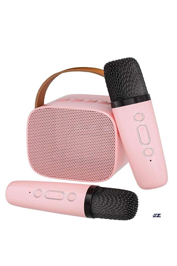 New Portable Bluetooth Karaoke Speaker with 2 Wireless Mics – Perfect for Kids & Adults