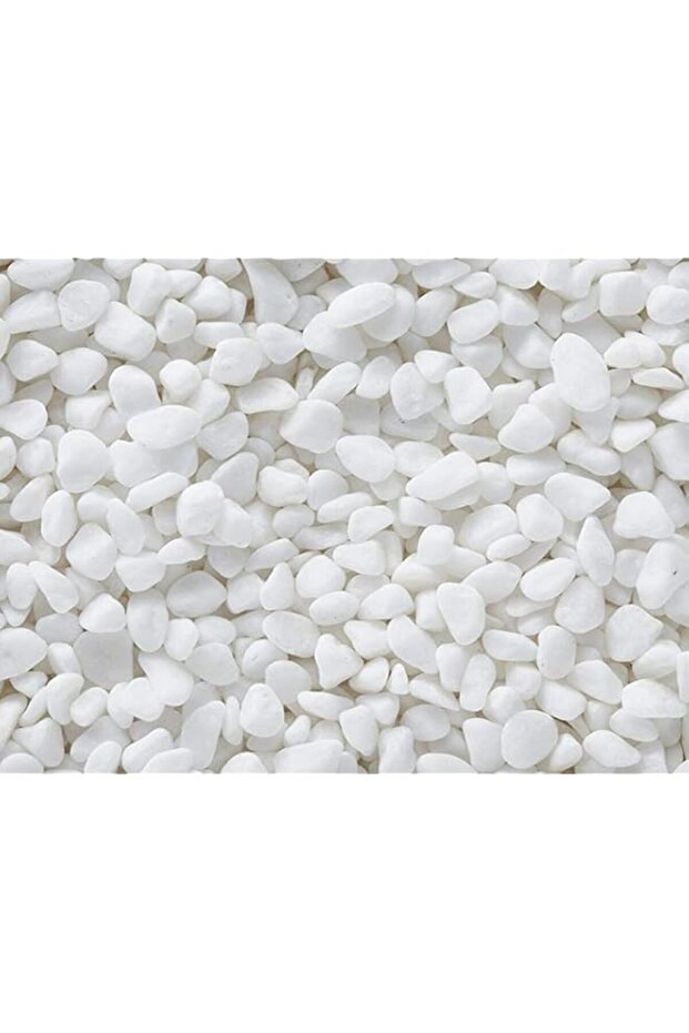 Small Pebbles Stones- 1kg (White)