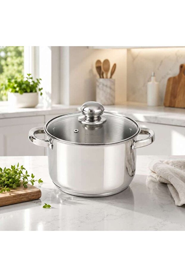 Amara Cooking Pot With Lid Dia20cm -chrome