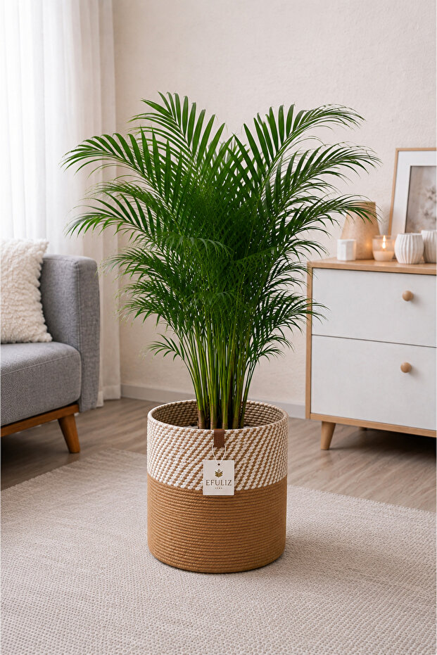 Jute Wicker Multi-Purpose Decorative Organizer Flower Pot Basket Garden Organizer Basket Width 20 Length 20 cm