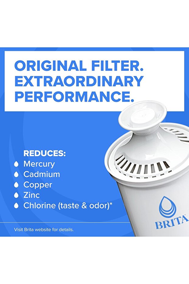 Long Last Water Filter, 2ct - 4