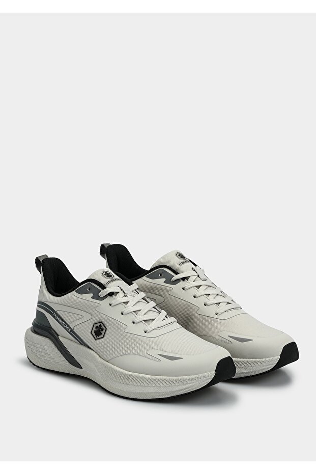 Bear Gray Men's Sneaker - 6