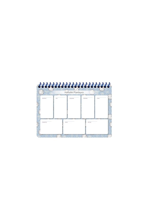 17X24 Spiral Trend Weekly Planner - Blue