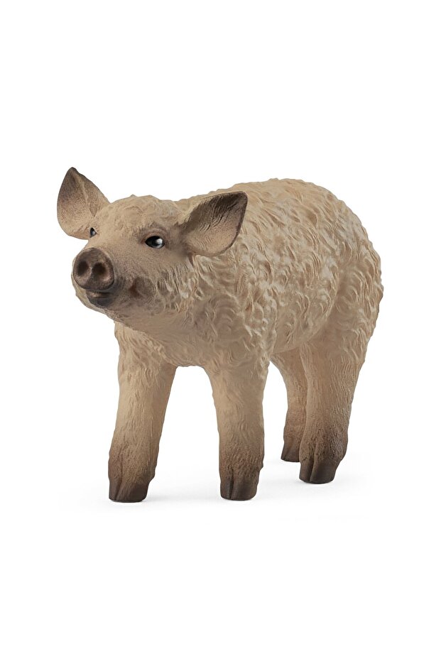 Prosiô Mangalica - 1