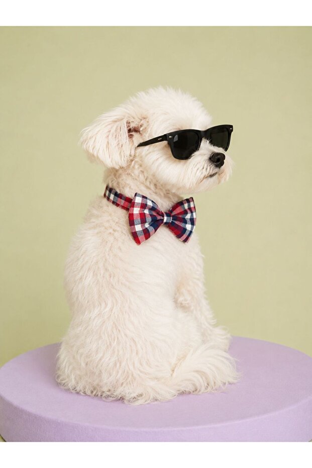 Small Breed - Red Plaid Dog Bow Tie - Stylish Premium Pet Neck Accessory