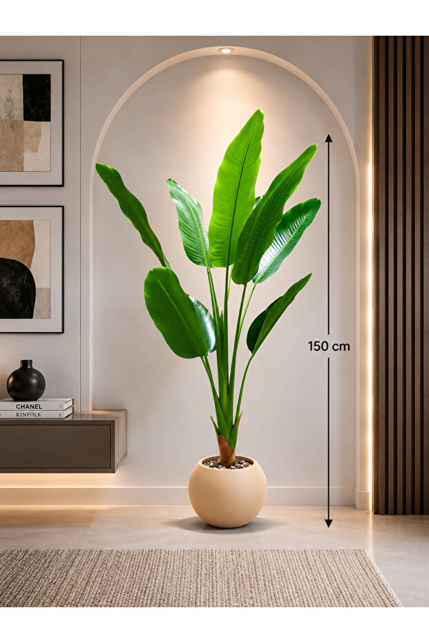 شجرة موز بطول 150 cm بمركن مكور