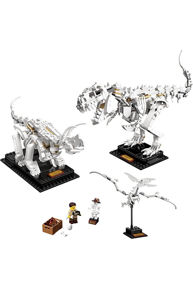 Ideas Dinosaur Fossils - Model No: 21320, Plastic