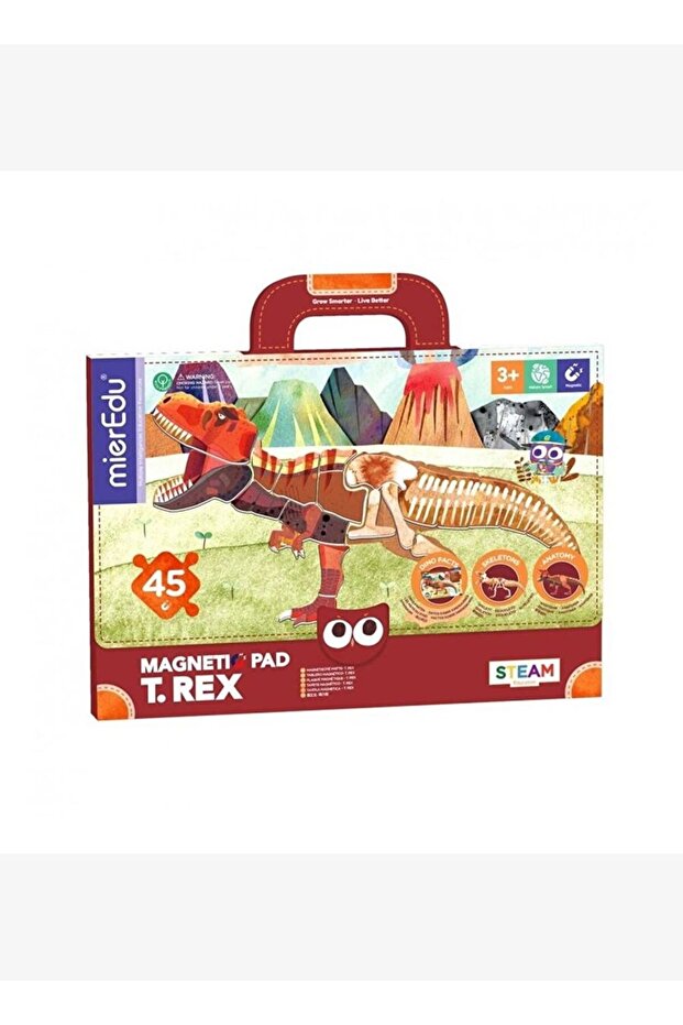 Magnetic Tablet - T-Rex - 2