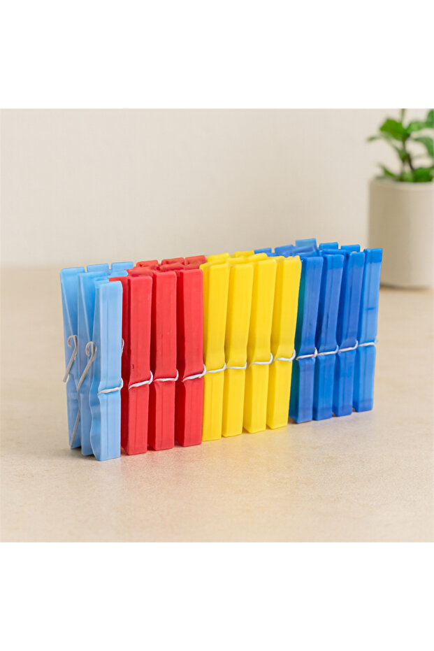Plastic Pegs 24Pcs