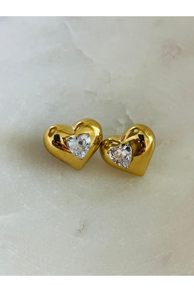 Steel Stone Heart Earrings