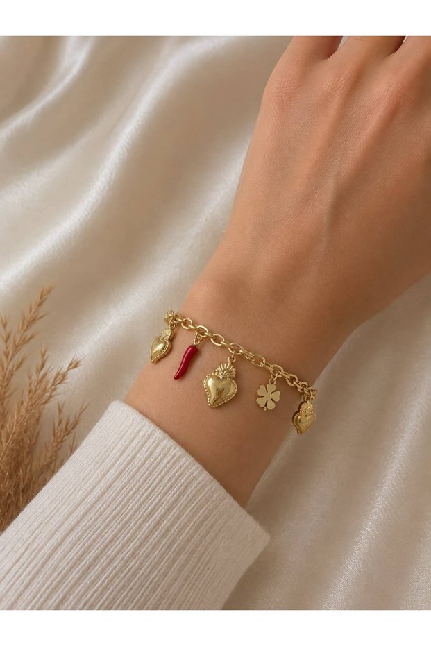 Chili Detailed Luck/Love Bracelet Steel Bracelet