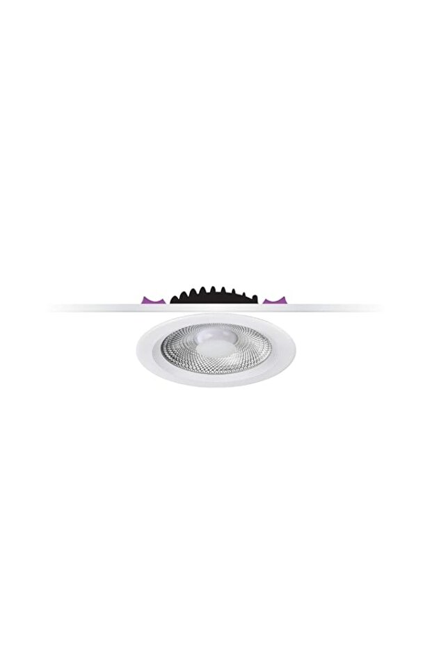 Rafeed Downlight 30W 6000K