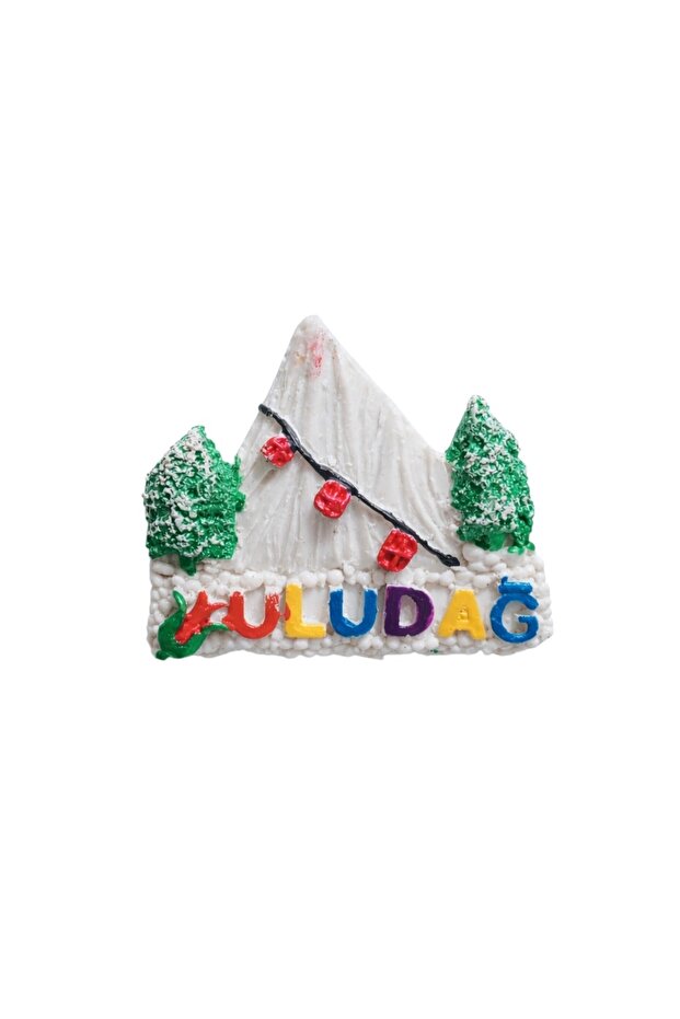 Bursa magneti