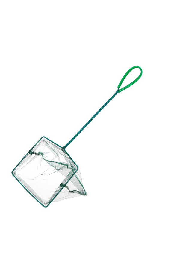 Fish Net[Length - 6 inch]