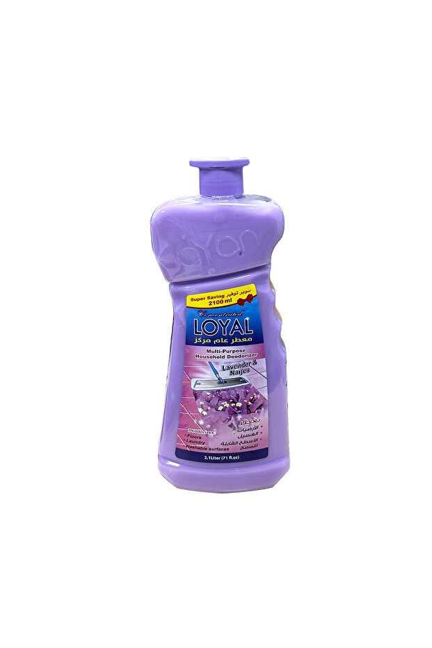 Concentrated Multi-Purpose Deodorizer Purple 2.1L