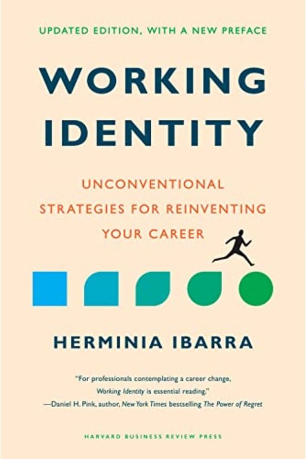 Working Identity Updated Edition With A New Preface Unconventional Strategies For Reinventing You