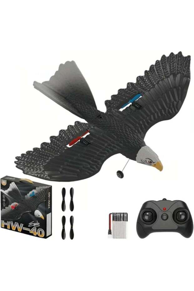 RC Eagle Plane HW-40 | Remote Control Airplane with 2.4GHz 2CH, 6-Axis Gyro Stabilizer, Propeller Flying Bird Aircraft, Easy to Fly RTF Plane for Beginners, Kids & Adults
