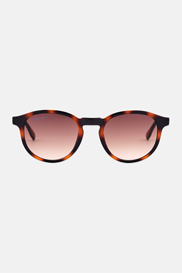 Men L6030SRG Round Sunglasses, Havana Brown