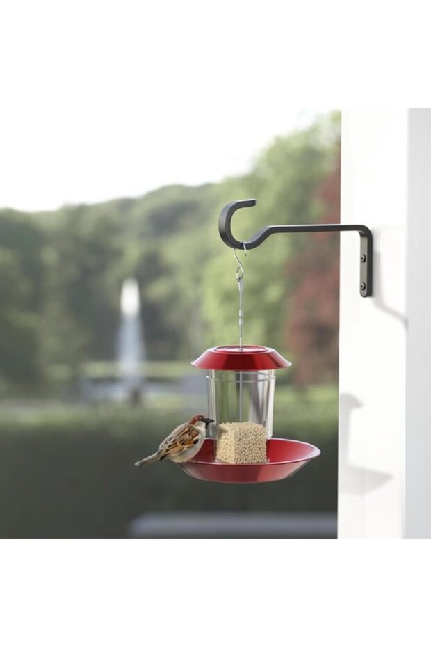 15 hooks hooks clothes kitchen iron wall Indoor Black Plant basket brackets Flower pot Wrought hooks 2- Screws included Rust resistant Suitable