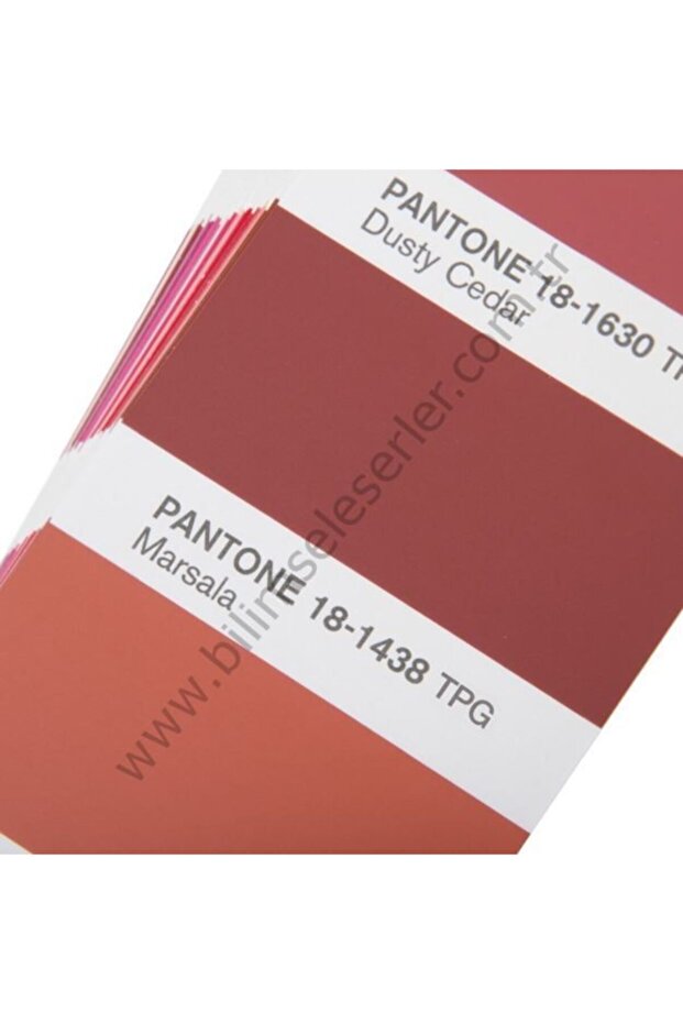 Tpg Tekstil Color Guide 2625 Renk - 2