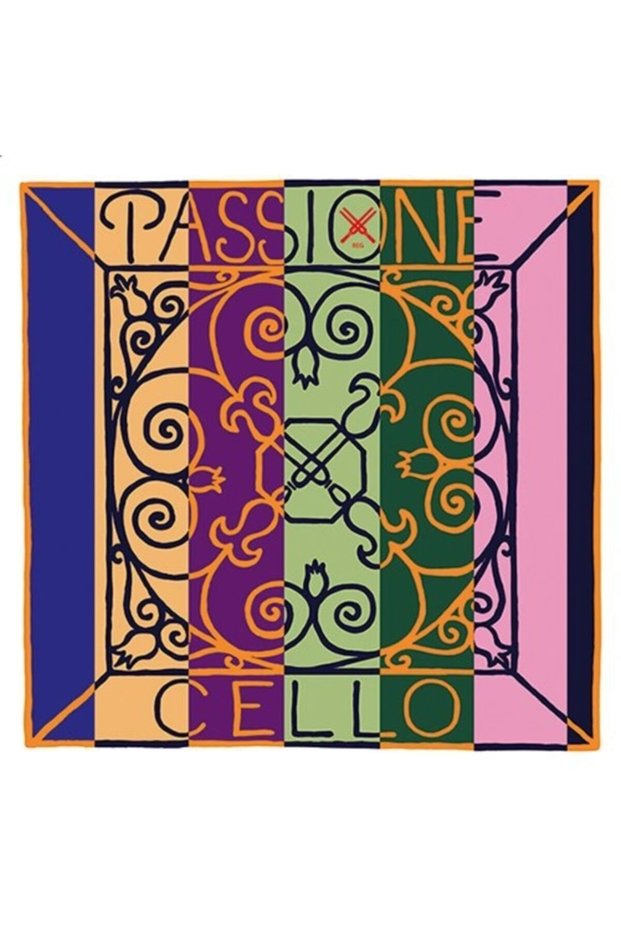 Passione Solo D ( Re ) Single Violin String219381
