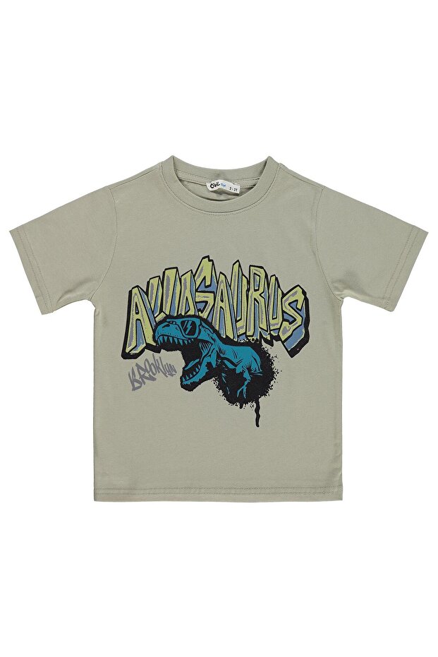 Dinosaur Printed T-Shirt for Ages 2-5 - Gray 2-3 Years