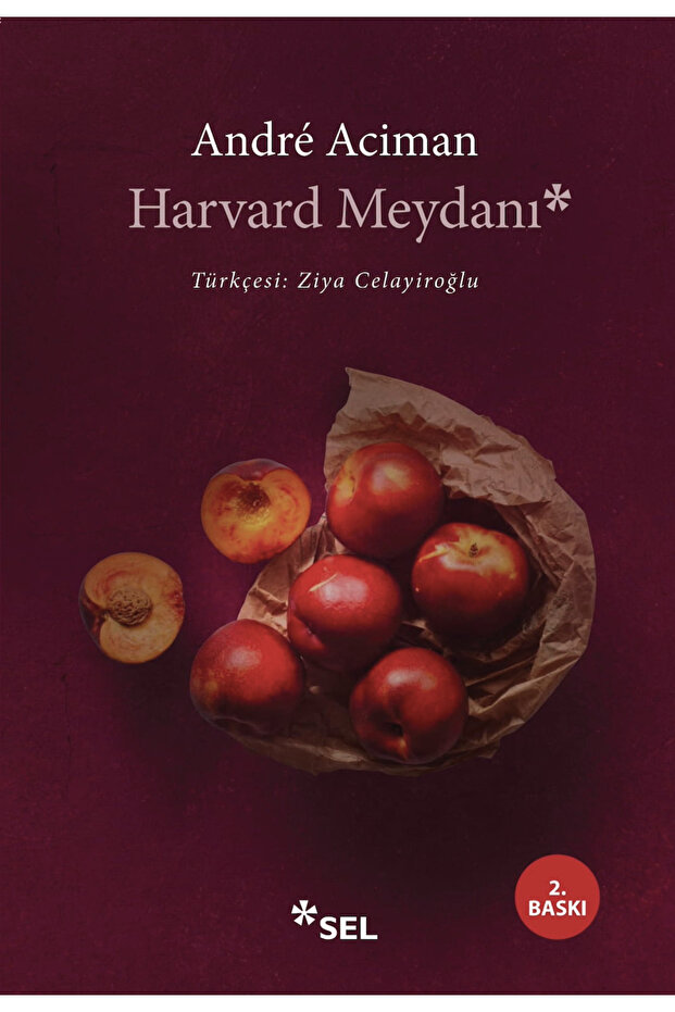 Harvard Meydanı