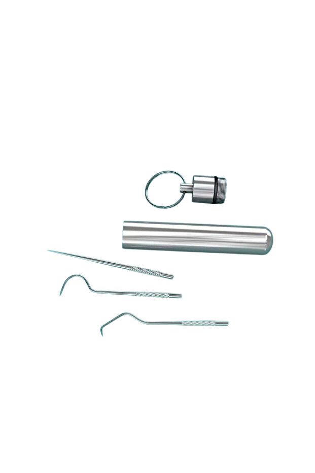 3pcs Stainless Steel Toothpick Set Reusable Toothpicks Tooth Flossing Tartar Removal Tool Portable T