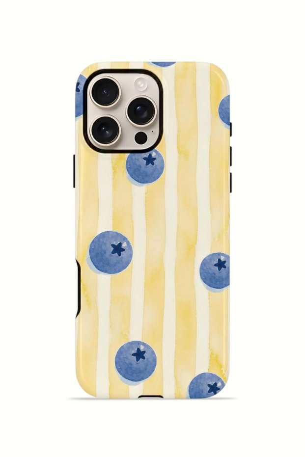 iPhone 16 Pro Vorian Dual Layer Case Blueberry Sun Stripe