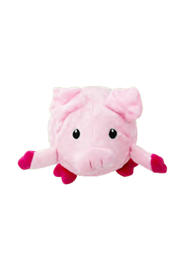 Spiky Bouncing Ball Pig Dog Toy