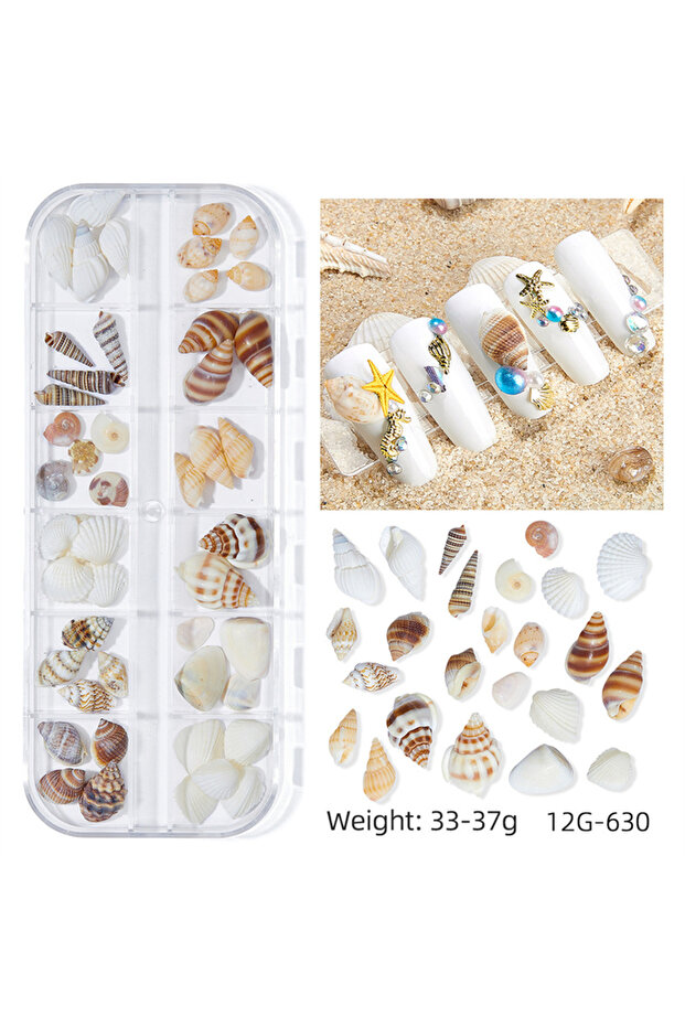 06 12 Grids Summer Ocean Themed Nail Art Charms Natural Abalone Shells Starfish Irregular Slices DIY