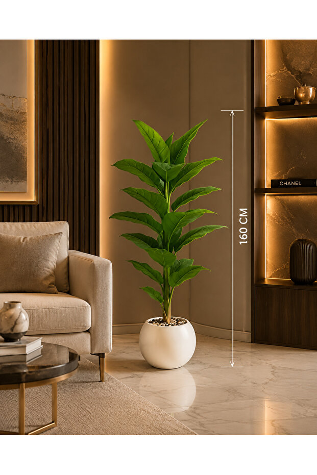 شجرة موز بطول 160 سم بمركن مكور