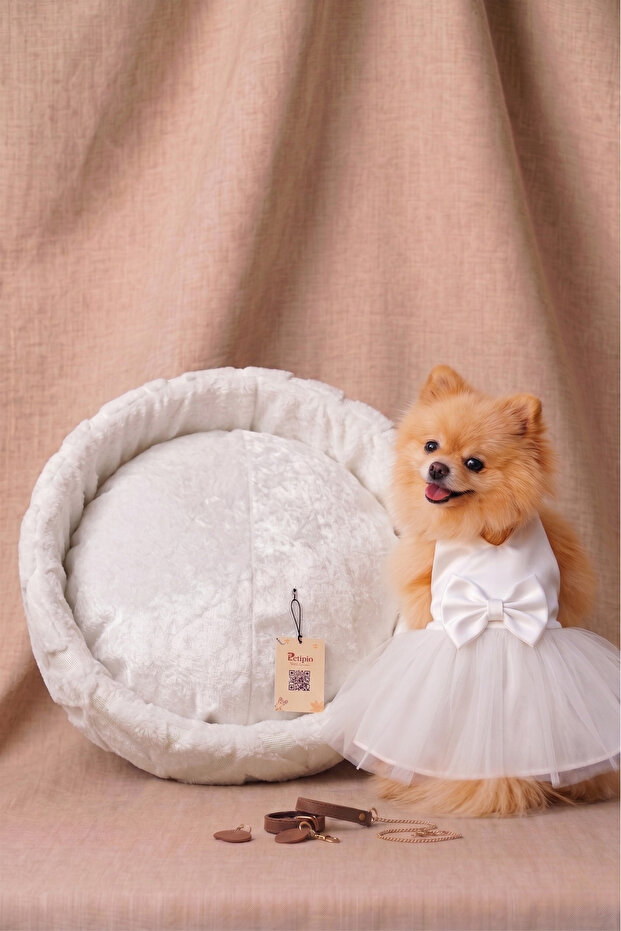 Luxurious White Pet Wedding Dress - Special Combination with Plush Gift