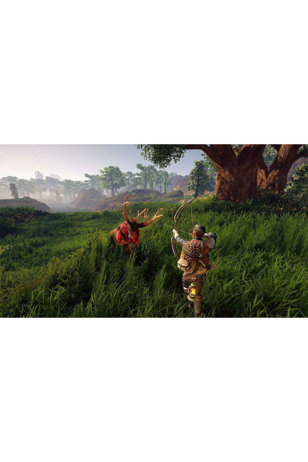 Outward PS4 Game - 7